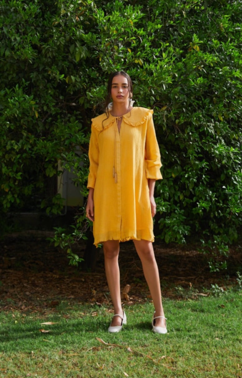 Suzanne Dress